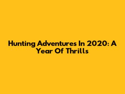 Hunting Adventures In 2020: A Year Of Thrills