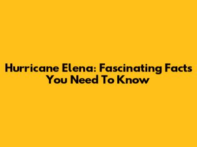 Hurricane Elena: Fascinating Facts You Need To Know
