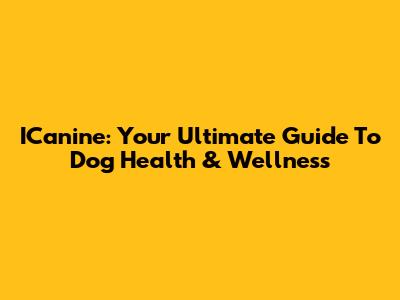 ICanine: Your Ultimate Guide To Dog Health & Wellness