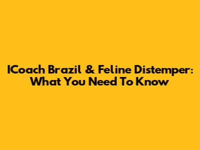 ICoach Brazil & Feline Distemper: What You Need To Know