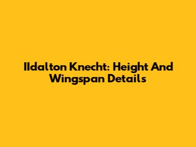 IIdalton Knecht: Height And Wingspan Details