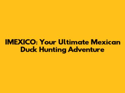 IMEXICO: Your Ultimate Mexican Duck Hunting Adventure