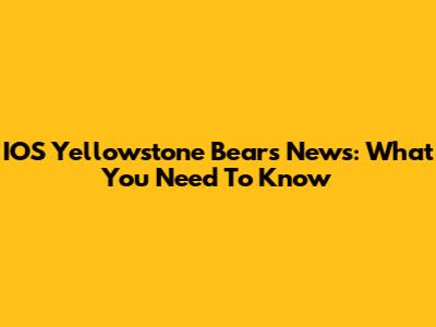 IOS Yellowstone Bears News: What You Need To Know