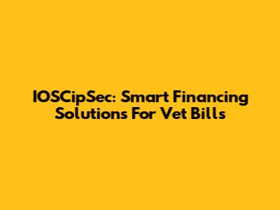 IOSCipSec: Smart Financing Solutions For Vet Bills
