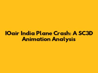 IOair India Plane Crash: A SC3D Animation Analysis