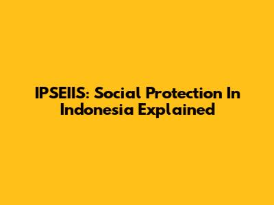IPSEIIS: Social Protection In Indonesia Explained