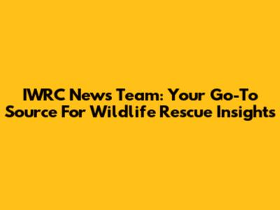 IWRC News Team: Your Go-To Source For Wildlife Rescue Insights