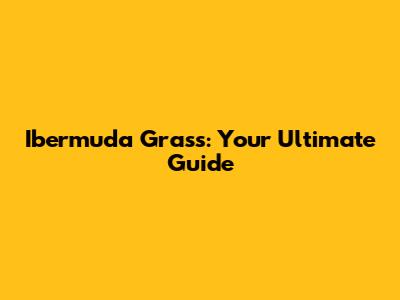 Ibermuda Grass: Your Ultimate Guide