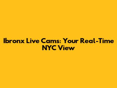 Ibronx Live Cams: Your Real-Time NYC View