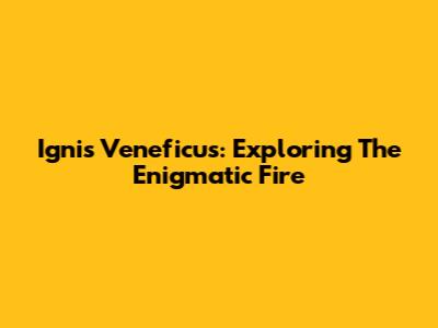 Ignis Veneficus: Exploring The Enigmatic Fire