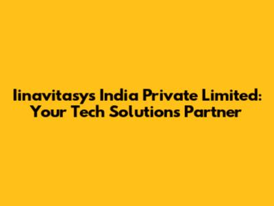 Iinavitasys India Private Limited: Your Tech Solutions Partner