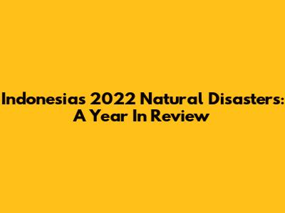 Indonesia's 2022 Natural Disasters: A Year In Review