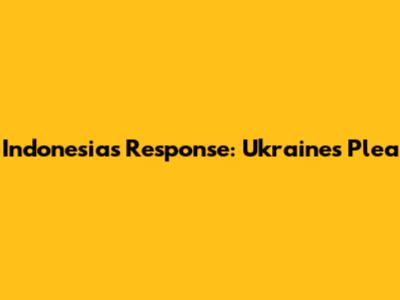 Indonesia's Response: Ukraine's Plea