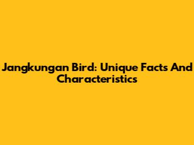 Jangkungan Bird: Unique Facts And Characteristics