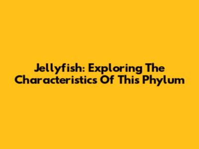 Jellyfish: Exploring The Characteristics Of This Phylum