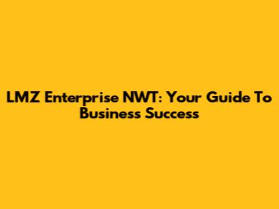 LMZ Enterprise NWT: Your Guide To Business Success