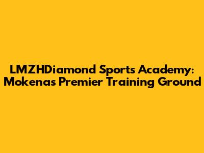 LMZHDiamond Sports Academy: Mokena's Premier Training Ground