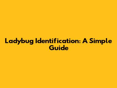 Ladybug Identification: A Simple Guide