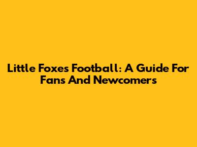 Little Foxes Football: A Guide For Fans And Newcomers