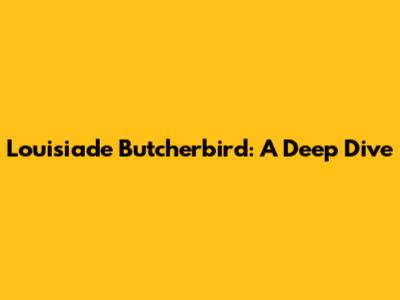 Louisiade Butcherbird: A Deep Dive