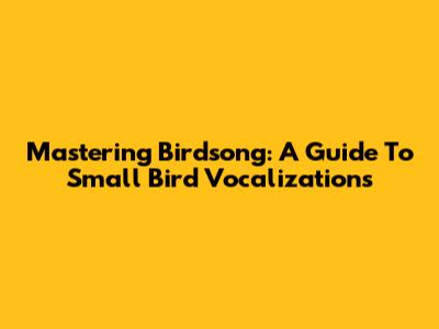 Mastering Birdsong: A Guide To Small Bird Vocalizations