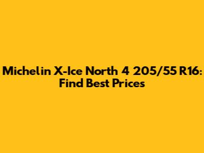 Michelin X-Ice North 4 205/55 R16: Find Best Prices