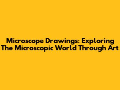 Microscope Drawings: Exploring The Microscopic World Through Art
