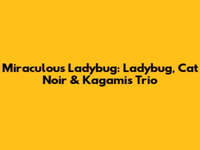 Miraculous Ladybug: Ladybug, Cat Noir & Kagami's Trio