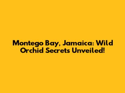 Montego Bay, Jamaica: Wild Orchid Secrets Unveiled!