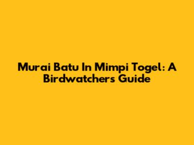 Murai Batu In Mimpi Togel: A Birdwatcher's Guide