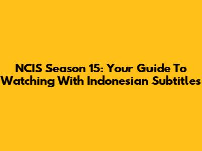 NCIS Season 15: Your Guide To Watching With Indonesian Subtitles
