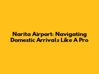 Narita Airport: Navigating Domestic Arrivals Like A Pro