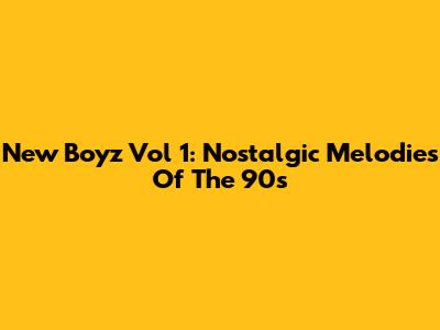 New Boyz Vol 1: Nostalgic Melodies Of The 90s