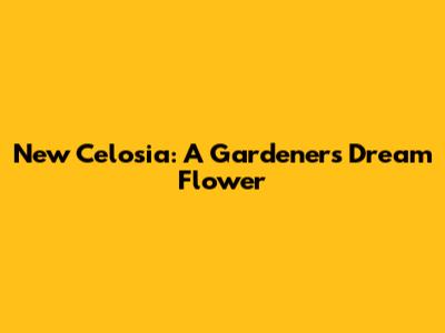 New Celosia: A Gardener's Dream Flower