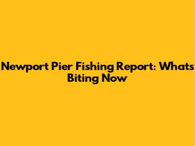 Newport Pier Fishing Report: What's Biting Now