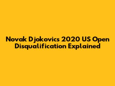Novak Djokovic's 2020 US Open Disqualification Explained