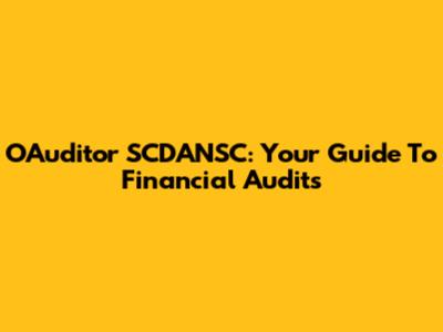 OAuditor SCDANSC: Your Guide To Financial Audits