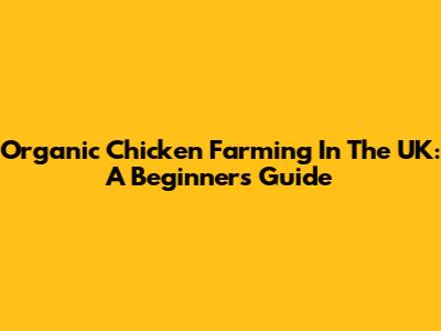Organic Chicken Farming In The UK: A Beginner's Guide