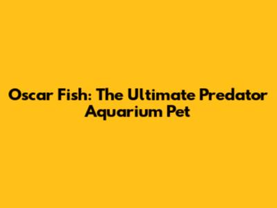 Oscar Fish: The Ultimate Predator Aquarium Pet