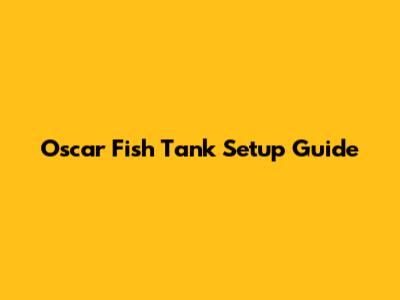 Oscar Fish Tank Setup Guide