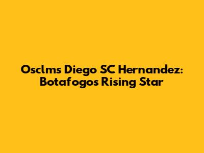 Osclms Diego SC Hernandez: Botafogo's Rising Star