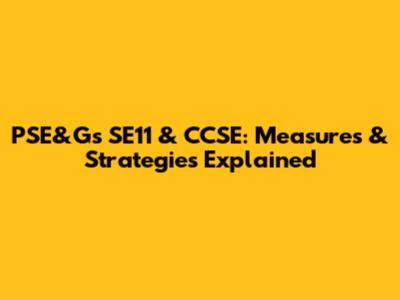 PSE&G's SE11 & CCSE: Measures & Strategies Explained