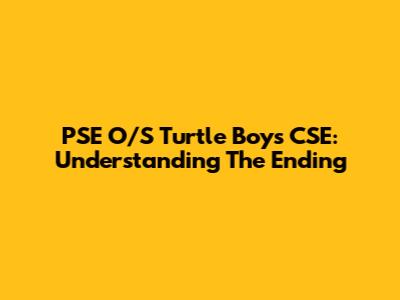 PSE O/S Turtle Boys CSE: Understanding The Ending