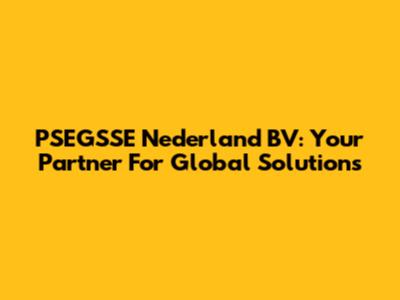 PSEGSSE Nederland BV: Your Partner For Global Solutions