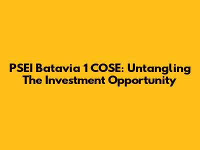 PSEI Batavia 1 COSE: Untangling The Investment Opportunity