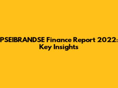 PSEIBRANDSE Finance Report 2022: Key Insights