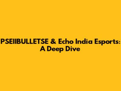 PSEIIBULLETSE & Echo India Esports: A Deep Dive