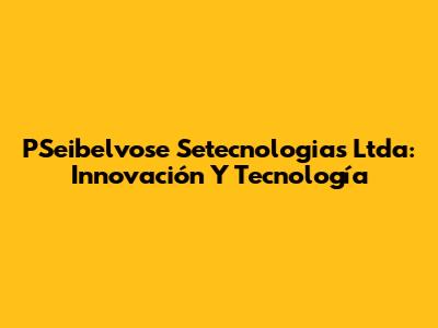 PSeibelvose Setecnologias Ltda: Innovación Y Tecnología