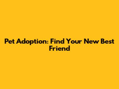 Pet Adoption: Find Your New Best Friend