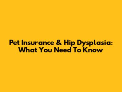 Pet Insurance & Hip Dysplasia: What You Need To Know